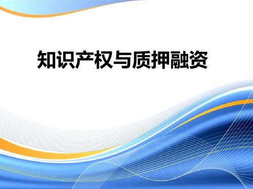 盛陽小講堂：“專利權(quán)質(zhì)押登記申請表”填寫的具體操作